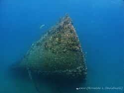 Antilla Wrecks by Ronaldo Cavichiolli 